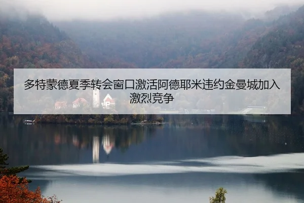 多特蒙德夏季转会窗口激活阿德耶米违约金曼城加入激烈竞争